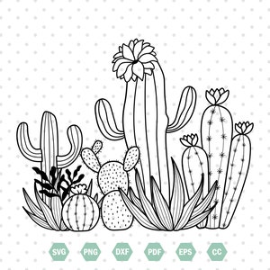 Cactus Svg , Cactus Flower Svg,  Cactus Svg Clipart, Succulent Svg, Cactus Svg For Shirts, Cactus Png, Plants Svg, Cactus Files For Cricut.