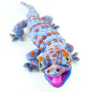 CROCHET PATTERN amigurumi Tokay gecko. image 2