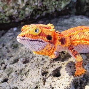 CROCHET PATTERN Bearded dragon, agama, realistic amigurumi lizard, instant download, crochet tutorial. image 3