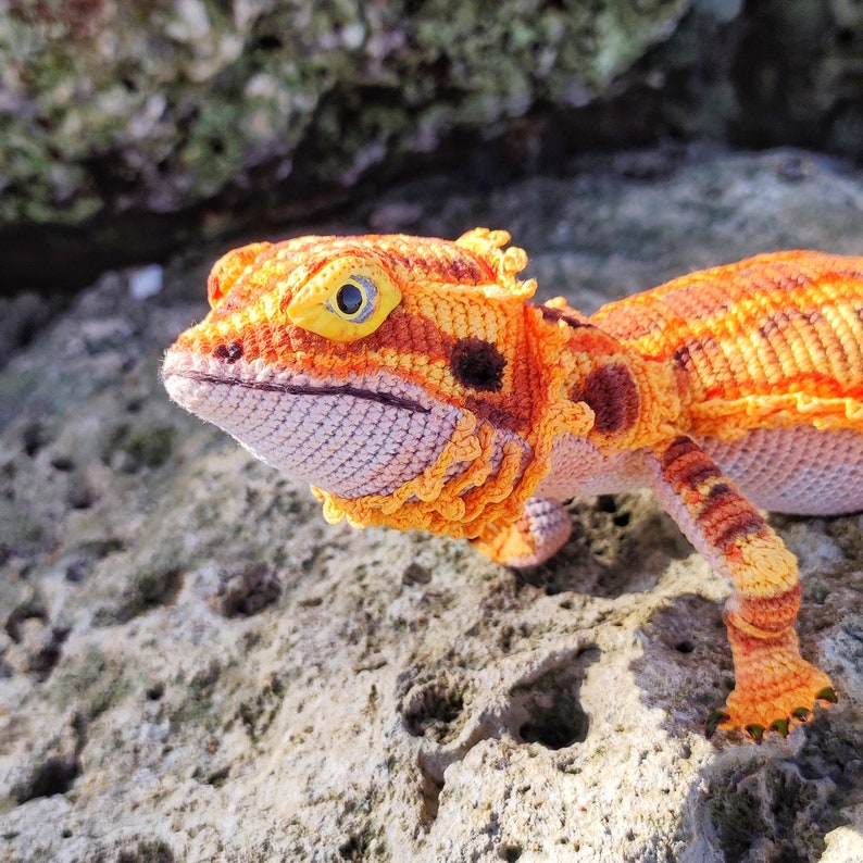 CROCHET PATTERN Bearded dragon, agama, realistic amigurumi lizard, instant download, crochet tutorial. image 3