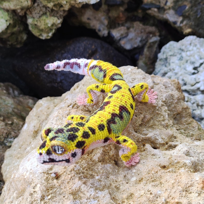CROCHET PATTERN Leopard Gecko Realistic Amigurumi Lizard PDF Etsy