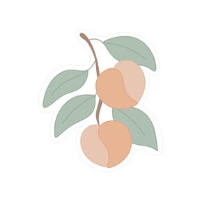 May include: A sticker featuring a branch with two peaches and several leaves. The peaches are a light orange color with a lighter peach-colored section. The leaves are a muted green, and the branch is brown.