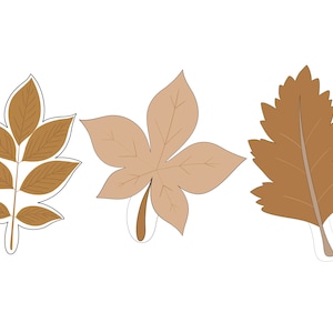 May include: Three brown autumn leaves with different shapes and textures. The leaves are isolated on a white background.