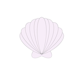 May include: A white seashell with a delicate, ribbed texture. The shell is closed and has a smooth, rounded shape.