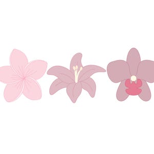 Plumeria-, lelie- of orchideekoekvormpjes