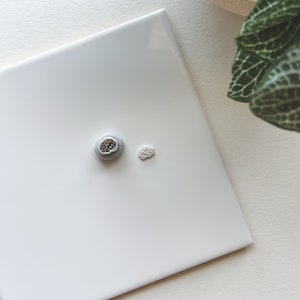 May include: Two small ceramic ornaments in the shape of a brain. One is gray with a white design and the other is white.