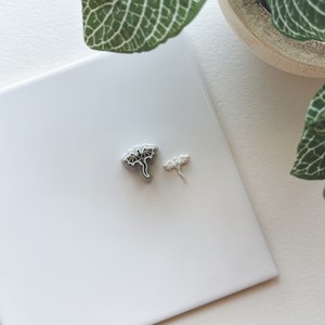 May include: Two small, silver dragon-shaped charms. One is larger with a detailed wing design, and the other is smaller with a simpler wing design. The charms are on a white surface, with a plant in the background.