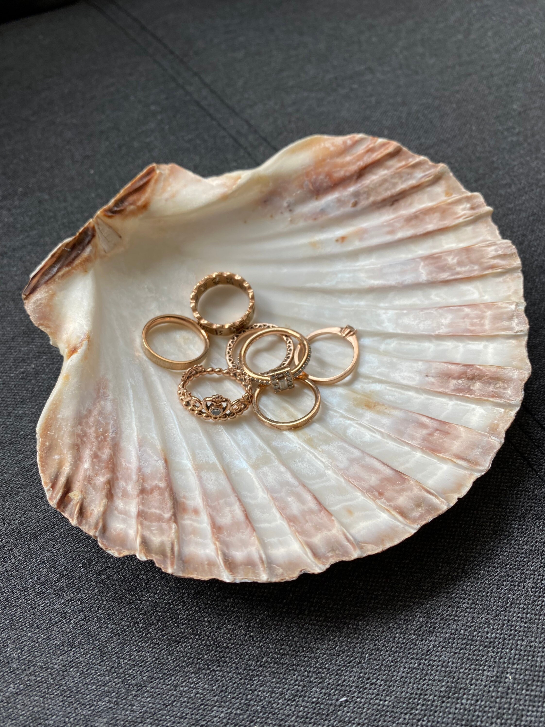 Natural Clam Shell Trinket Dish Etsy UK