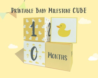 Printable Yellow Baby Milestone Cube for Photos Baby | DIY 3d Milestone Cube | Animal Milestone | Rainbow Milestone | Instant Download