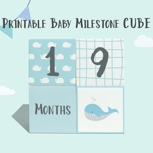 Imprimable Blue Baby Milestone Cube pour Photos Bébé | Cube jalon 3d bricolage | Étape importante pour les animaux | Jalon arc-en-ciel | Téléchargement instantané