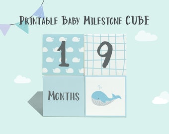 Printable Blue Baby Milestone Cube for Photos Baby | DIY 3d Milestone Cube | Animal Milestone | Rainbow Milestone | Instant Download