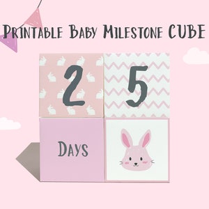 Afdrukbare babymijlpaalkubus voor babyfoto's | DIY 3D-mijlpaalkubus | Dierlijke mijlpaal | Regenboogmijlpaal | Directe download