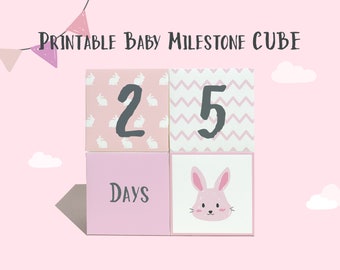 Printable Baby Milestone Cube for Photos Baby | DIY 3d Milestone Cube | Animal Milestone | Rainbow Milestone | Instant Download