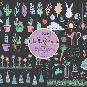 Chalk Garden Clipart Bundle, Succulent Art, Cactus Plants, Mothers Day Printable, Spring Doodles Set, Potted Plant Collage, Sunflower PNG