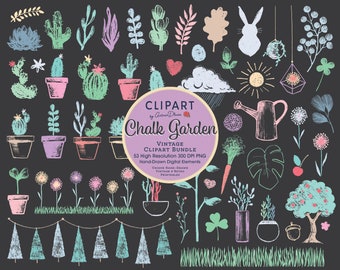 Chalk Garden Clipart Bundle, Succulent Art, Cactus Plants, Mothers Day Printable, Spring Doodles Set, Potted Plant Collage, Sunflower PNG