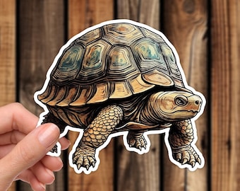 Realistic Tortoise Waterproof Vinyl Sticker Artistic Style Reptile Animal Nature Aesthetic Decal for Phone Laptop or Water Bottle
