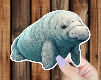 Realistic Manatee Vinyl Sticker Unique Wall Art Marine Ocean Life Florida Sea Creature Decal for Laptop or Water Bottle