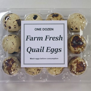Custom Square Quail Egg Carton Label With Adhesive Backing
