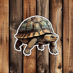 Realistic Tortoise Waterproof Vinyl Sticker Artistic Style Reptile Animal Nature Aesthetic Decal for Phone Laptop or Water Bottle