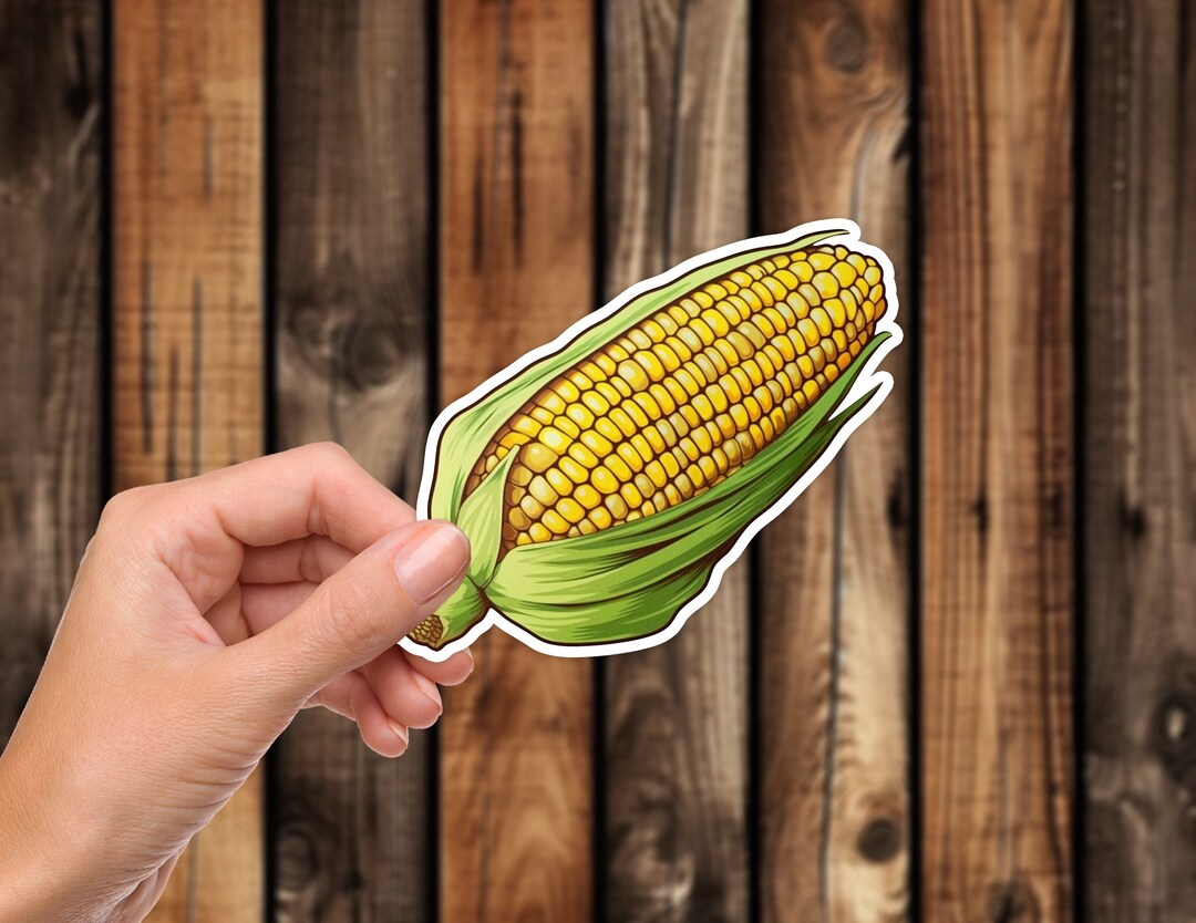 Corn Sticker Yellow Realistic Vegetable Grain Farm and Garden Aesthetic ...