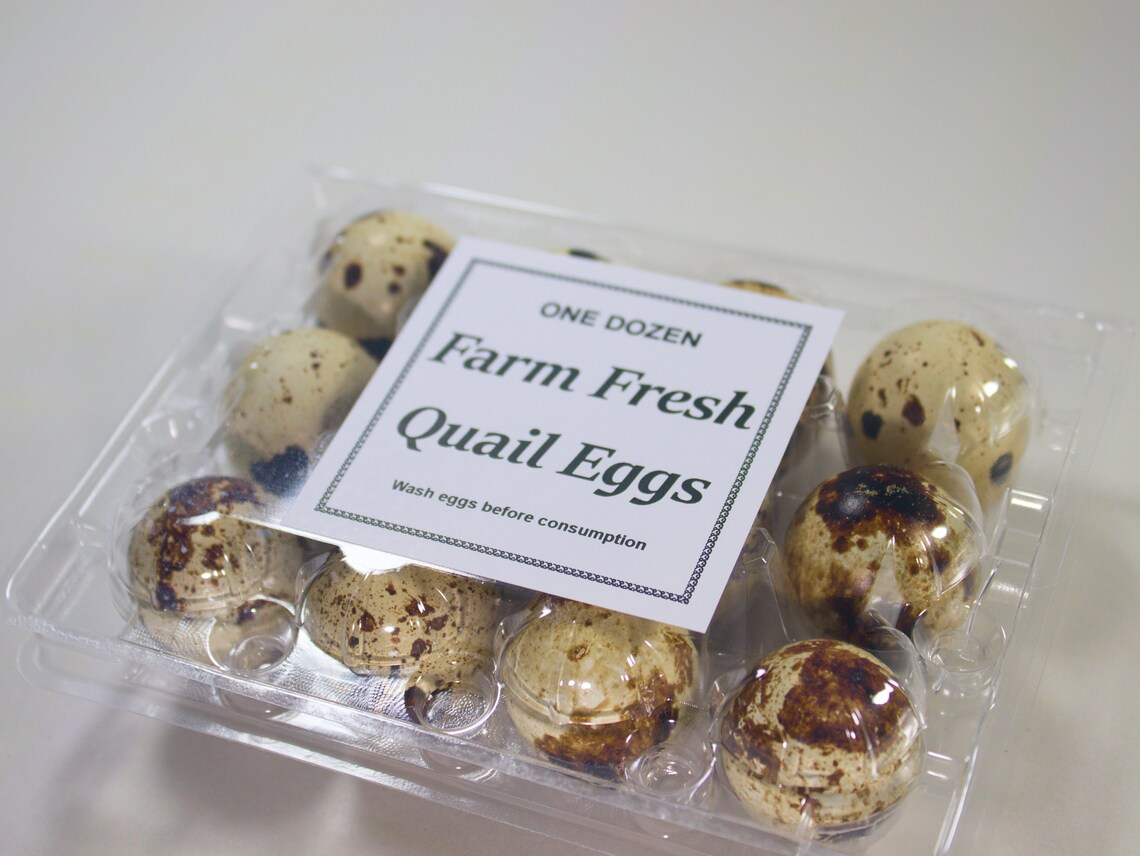 Custom Square Quail Egg Carton Label With Adhesive Backing Etsy