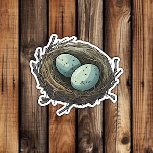 Birds Nest Wasserdichter Vinylaufkleber Outdoor Natur Cartoon Style Ästhetische Naturvogel-Ei-Abziehbild für Telefon-Laptop oder Wasserflasche