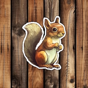 Cute Squirrel Waterproof Vinyl Sticker Realistic Style Aesthetic Forest Animal Decal for Phone Laptop or Water Bottle