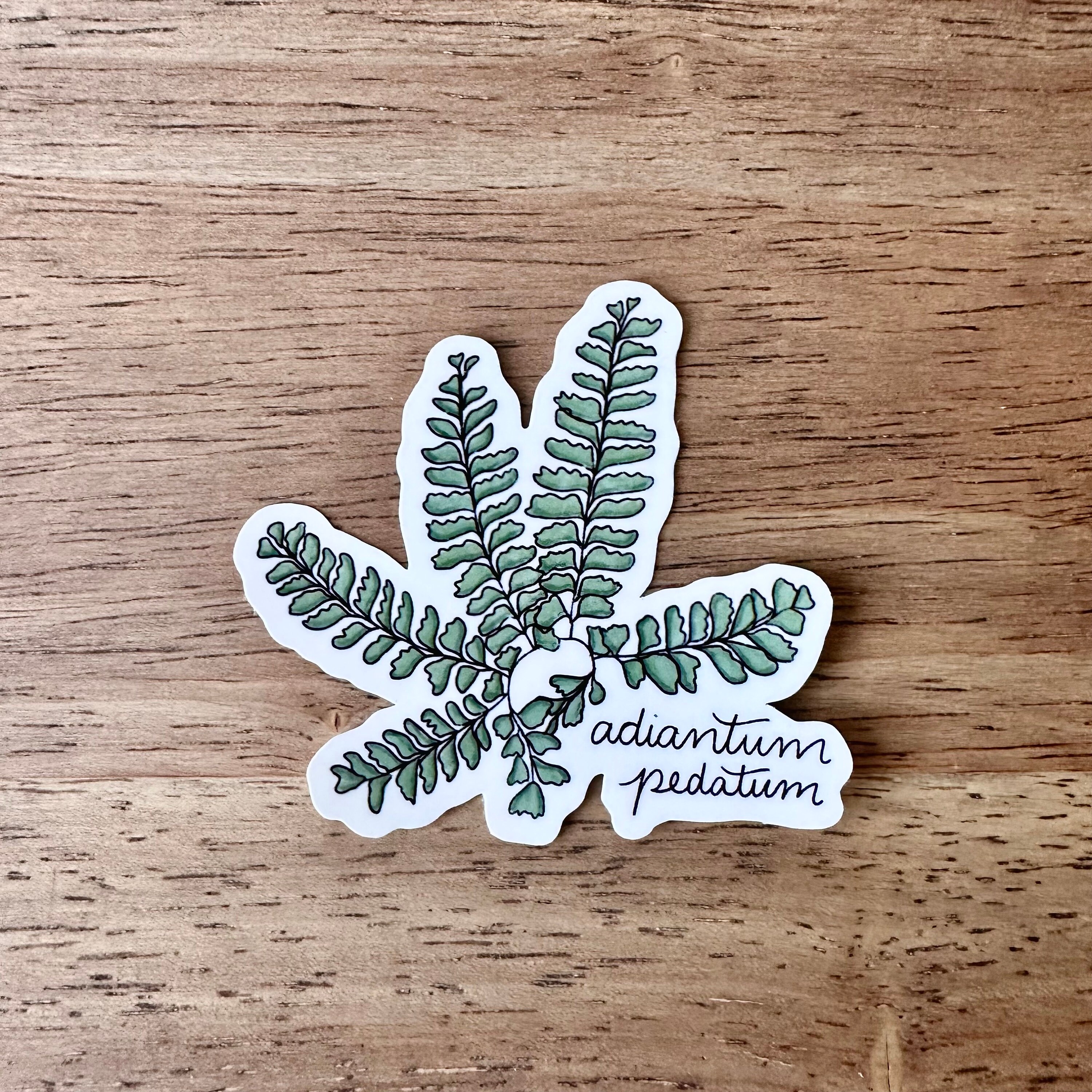 Plant Sticker Botanical Sticker for Plant Lovers Fern Botanical ...