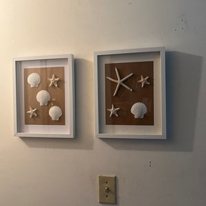 Beautiful Handmade Shadowboxes, Gift Shadowboxes /Coastal Home Decor. Shadowboxes made with Natural shell fish, star fish, seashells.