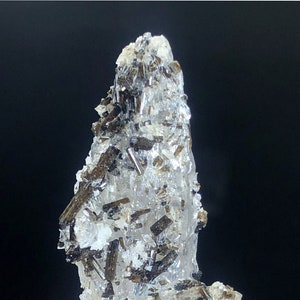 May include: A clear quartz crystal cluster with embedded dark brown, needle-like crystals. The quartz has a rough, textured surface and is mounted on a small, gray base. The background is black.