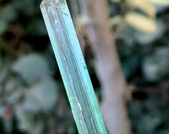 Può includere: Un cristallo verde chiaro con una punta appuntita, montato su un supporto di esposizione bianco. Il cristallo è traslucido e ha un aspetto vetroso.