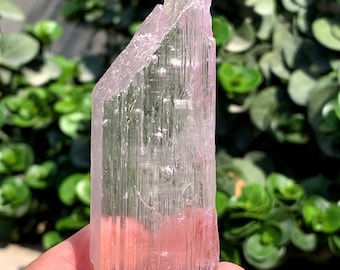Fluorescent Pink Kunzite, Transparent Kunzite Crystal From Afghanistan - 80 Gram