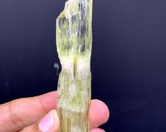 両端が尖った黄色のトリフェーンクンツァイト結晶：アフガニスタン産