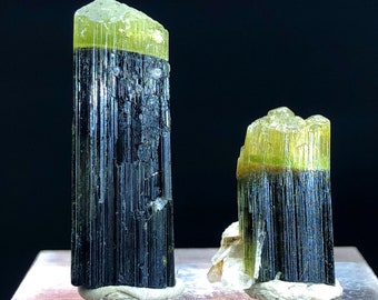 天然グリーンキャップトルマリン結晶標本 - アスタック・ナラ