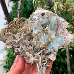 Natural Blue Aquamarine Crystals Cluster With Muscovite Mica On Matrix From Pakistan - 864 Gram