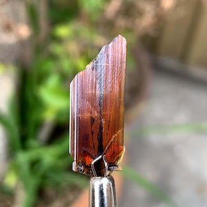 Puede incluir: Cristal de turmalina en bruto, marrón-anaranjado, con estrías oscuras y un borde dentado. El cristal está montado sobre un soporte metálico plateado. El fondo está borroso, con follaje verde.