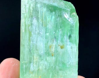 Natural Green Hiddenite Kunzite Crystal Specimen, Afghanistan Mineral
