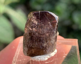 Rare Blue Tanzanite Crystal From Tanzania - 18.20 Carats