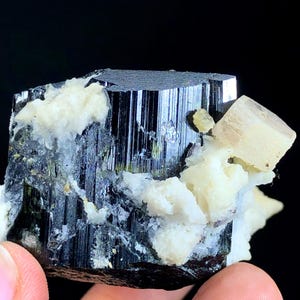 Black Tourmaline Crystal with Fluorescent Apatite, Albite & Mica - Skardu Pakistan