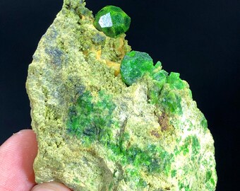 鮮やかな緑色のデマントイドガーネット結晶（母岩付き）、鉱物標本