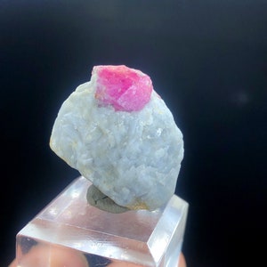 Puede incluir: Un pequeño cristal de rubí rosa incrustado en una matriz blanca y rugosa. El cristal está en un soporte de exhibición transparente.