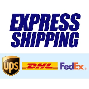 May include: Express shipping logo with the words "EXPRESS SHIPPING" in blue text. Below the words are the logos for UPS, DHL, and FedEx.