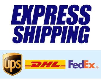 Express Shipping Services, DHL, FEDEX and UPS