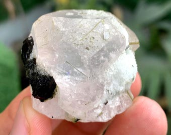Cristal de aguamorganita bicolor con turmalinas de Afganistán - 50 gramos
