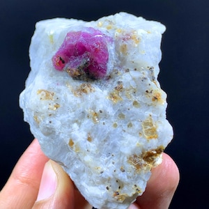 May include: A raw, uncut ruby crystal embedded in a matrix of white rock. The ruby is a vibrant pinkish-red color, with a rough, textured surface. The surrounding rock is a light gray with flecks of brown and gold.