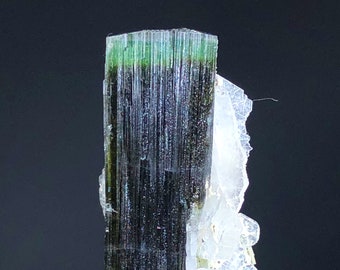 Green Cap Tourmaline Crystal with Cleavelandite Albite: 40 Carats, Skardu Pakistan