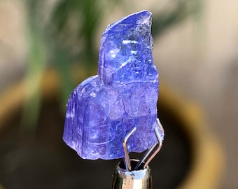 Rare Blue Tanzanite Crystal From Tanzania - 8.5 Carats