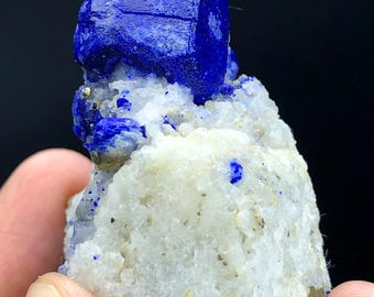 ブルーラピスラズリ標本：母岩上の黄金の黄鉄鉱、アフガニスタン（68