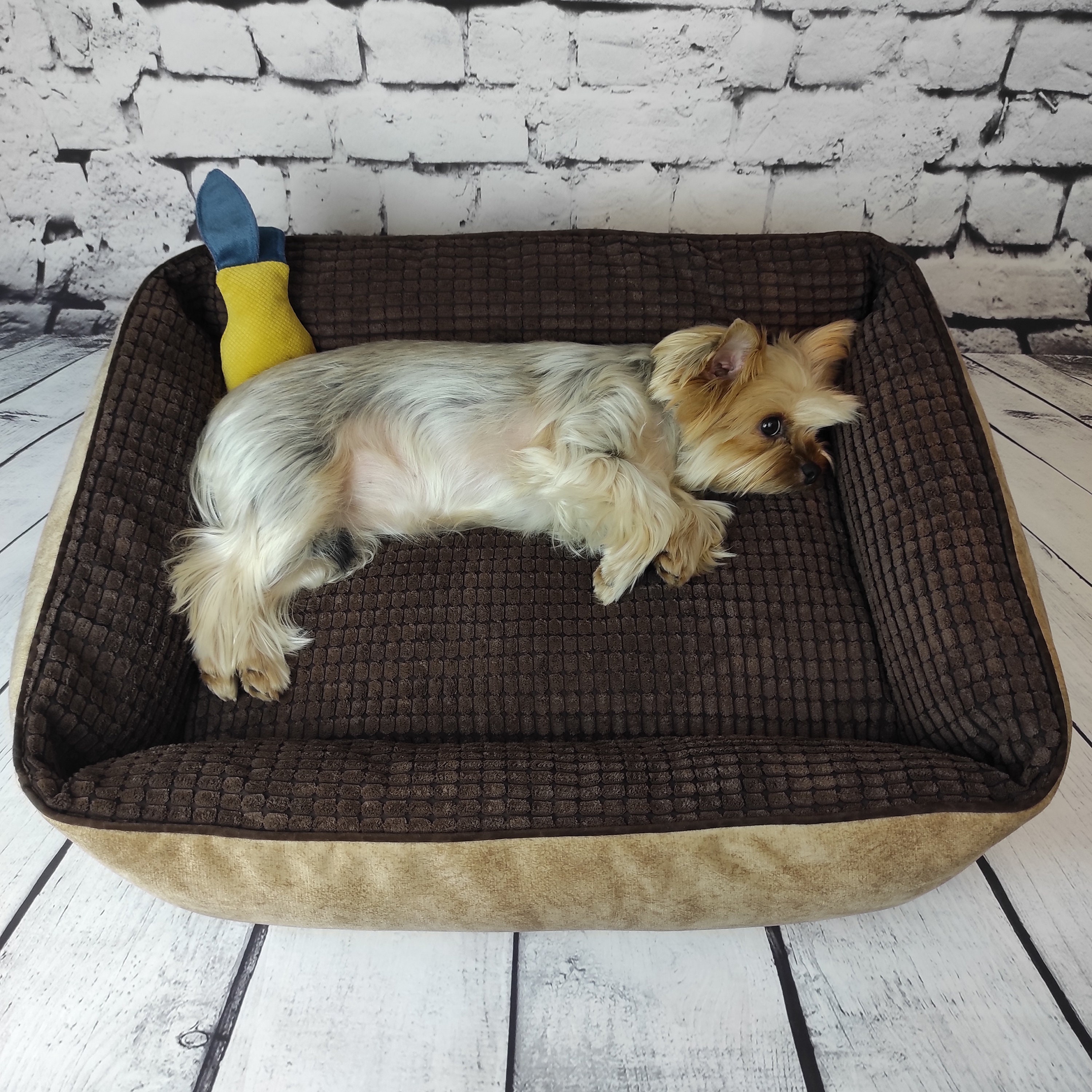 SALE Brown Dog beds with soft washable cover cat bed Etsy
