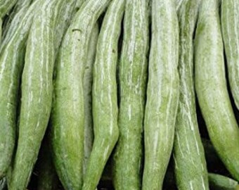 Snake Gourd Seeds Etsy